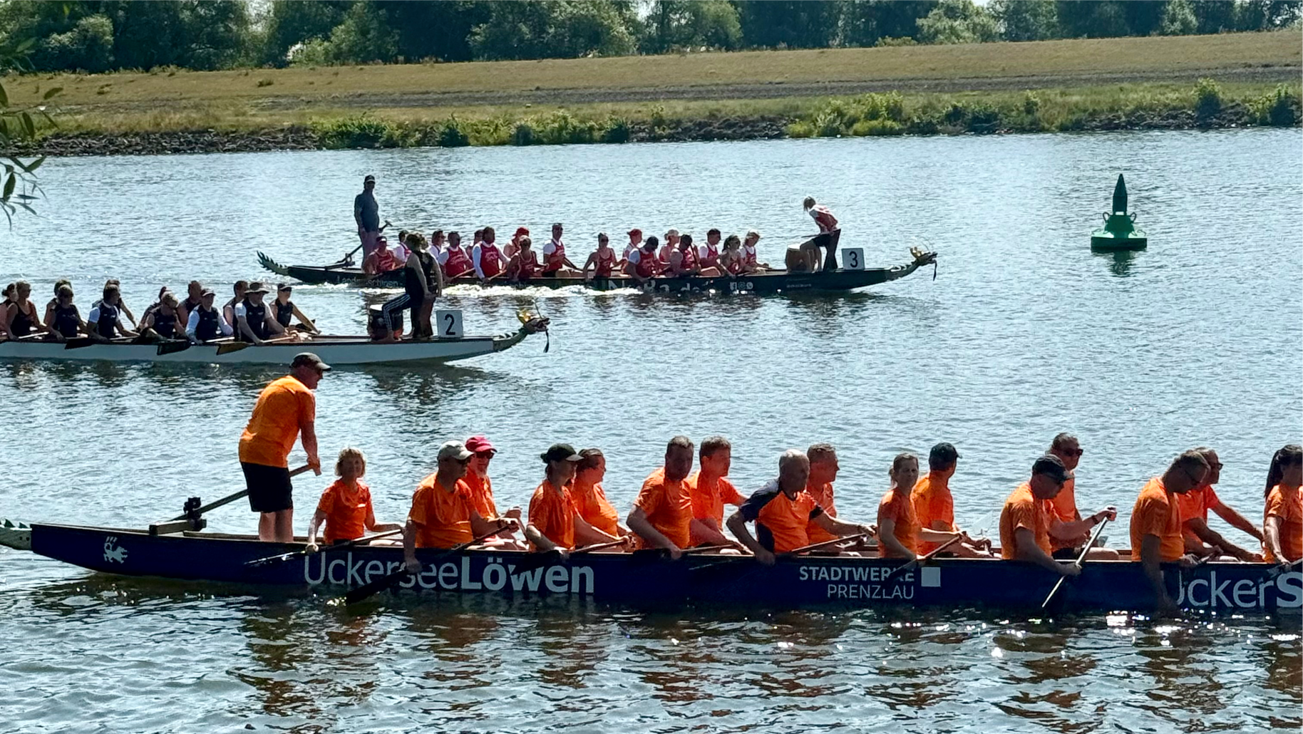 So war der 8. Drachenboot-Cup in Schwedt/O.